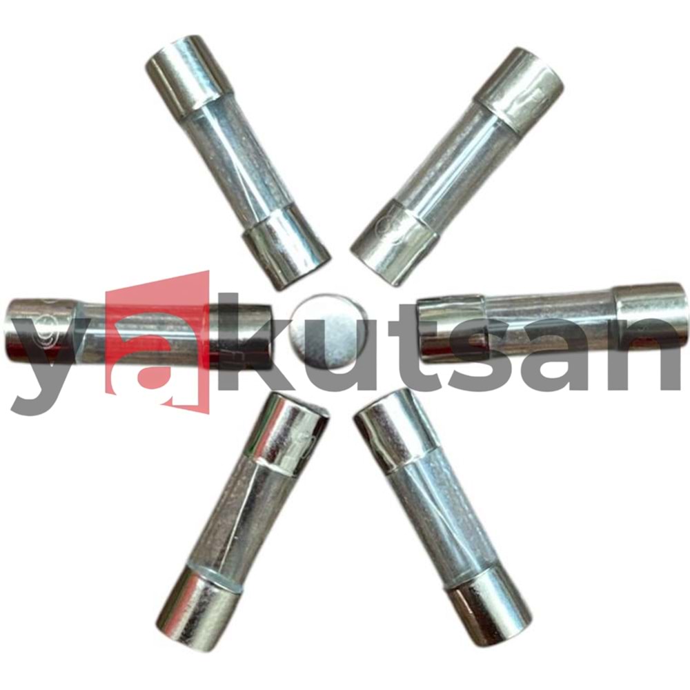 2.5 AMPER 6mm*30mm CAM SİGORTA