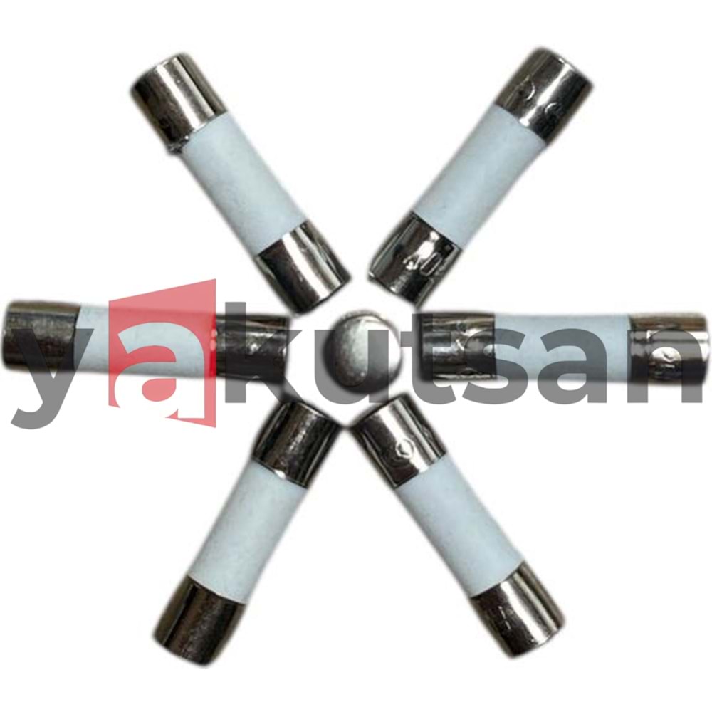 25 AMPER 5mm*20mm SERAMİK SİGORTA