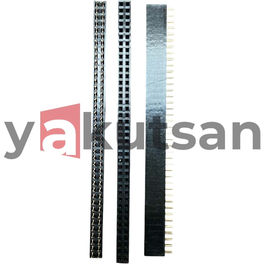 2*40 PIN DİŞİ 22850240ANG1SYA01