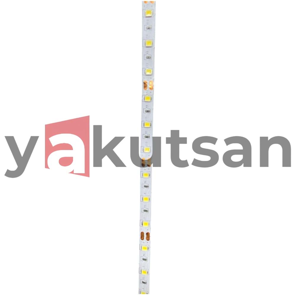 205367 60SMD LEDLİ ŞERİT IP20-6500K