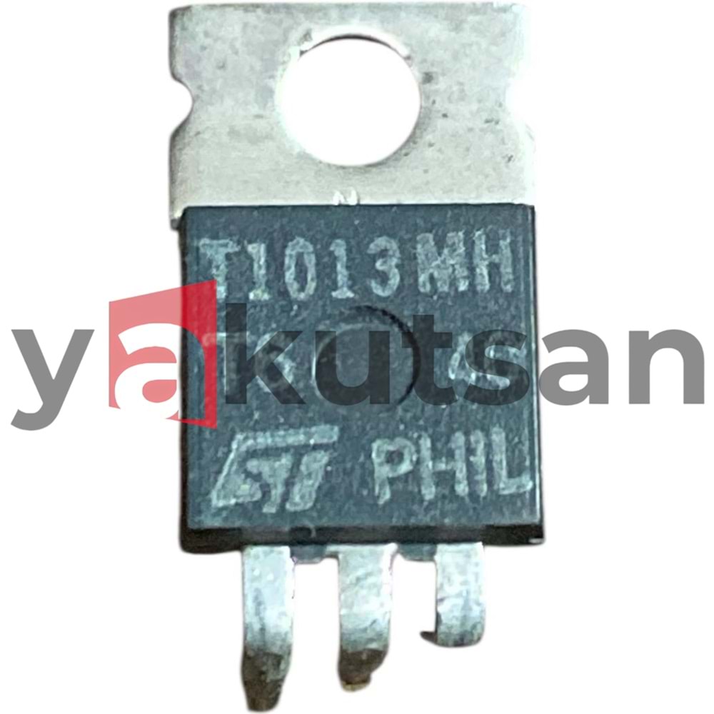 TH1013MH