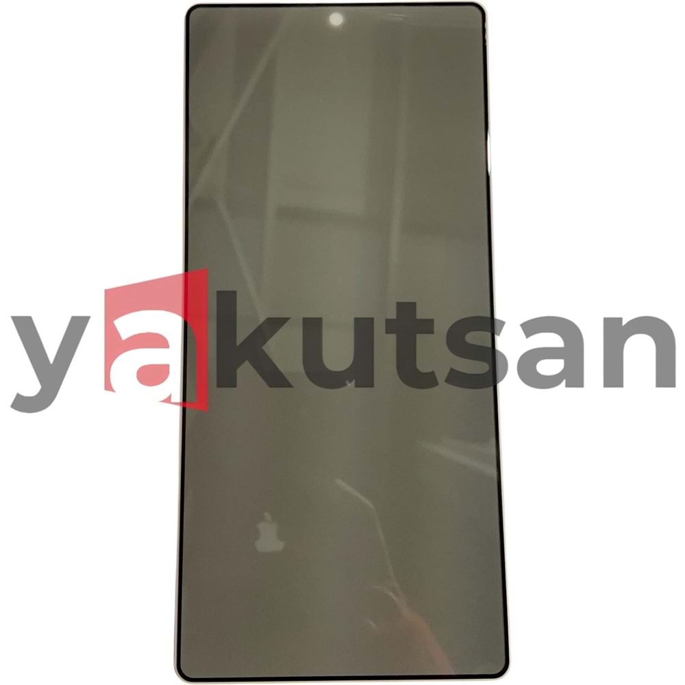 S25 ULTRA SİYAH HAYALET KORUMA CAMI