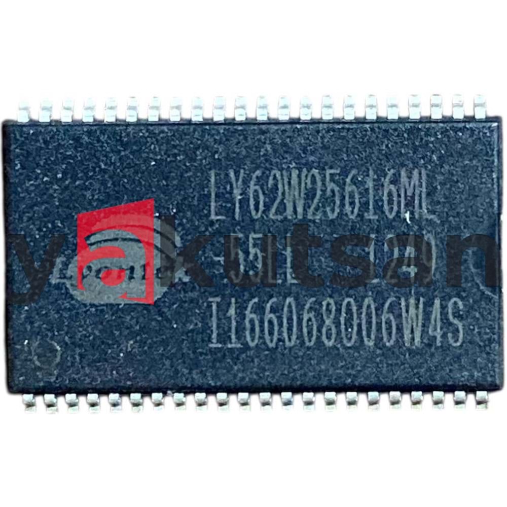 LY62W256165ML