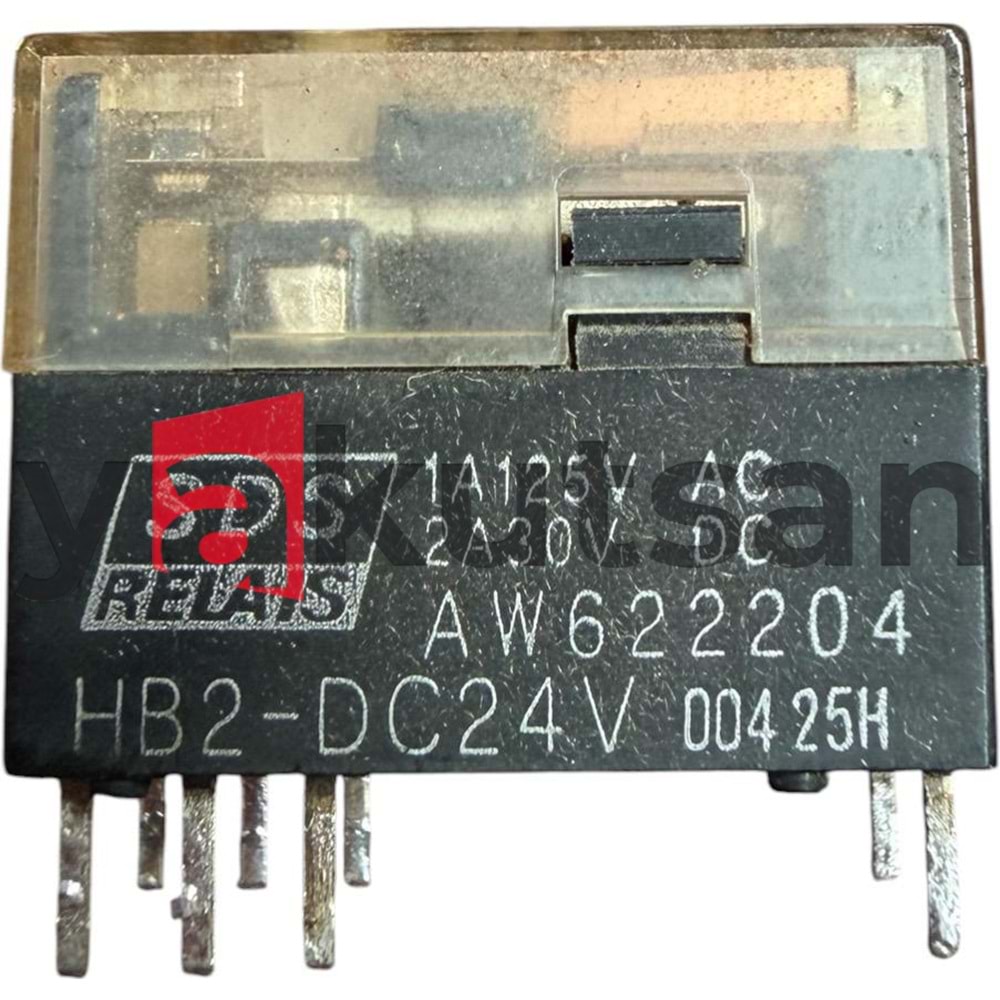 AW622204