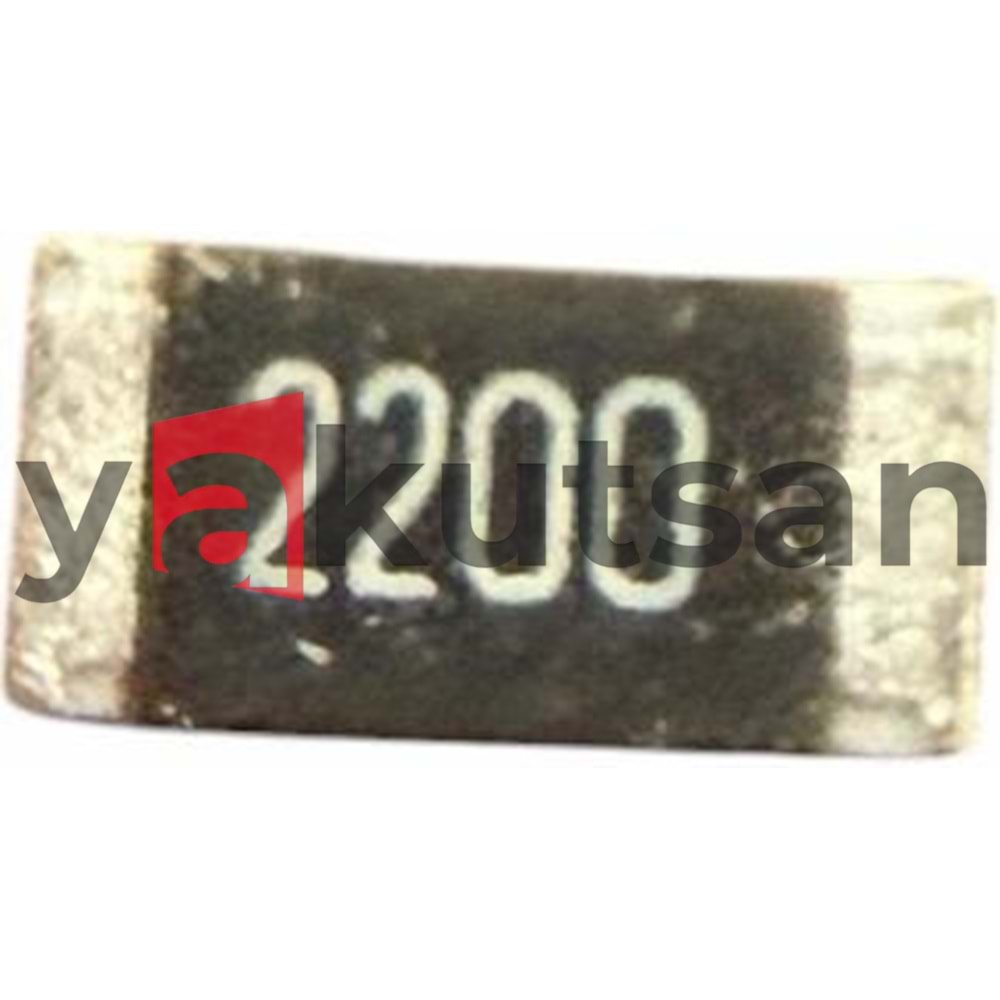 220 OHM 1206 KILIF