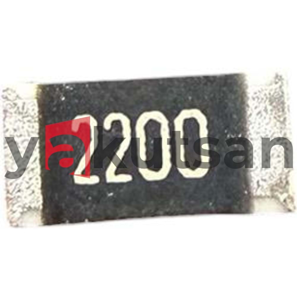 220 OHM 1206 KILIF