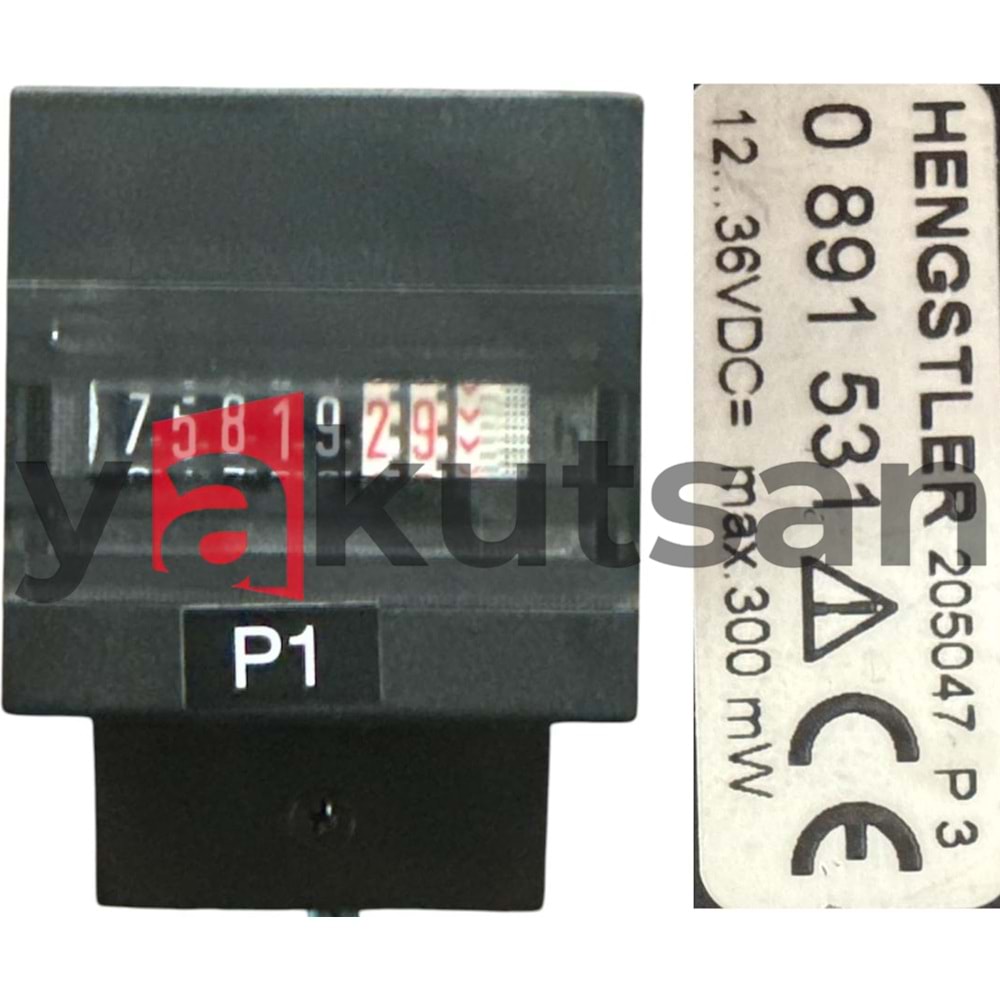 P1 HENGSTLER 0 891 531