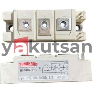 SK 75DB 060D L3 4910