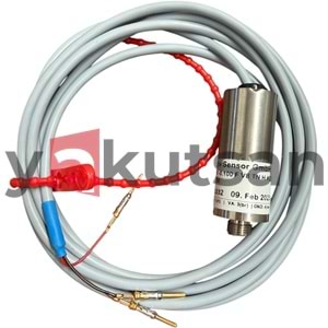 BASINÇ SENSÖRÜ AUR -0.100 F V8 TN H K2.0