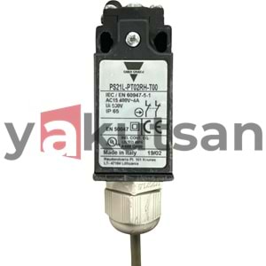 PS21L-PT02RH-T00