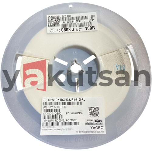 100R OHM