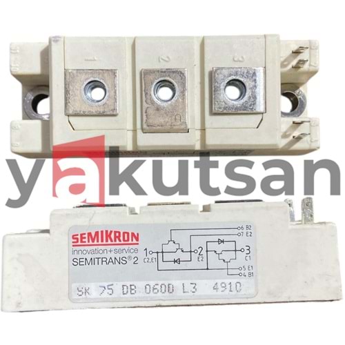 SK 75DB 060D L3 4910