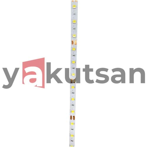205367 60SMD LEDLİ ŞERİT IP20-6500K