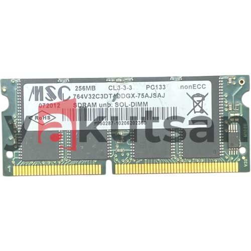 MSC 256 MB SDRAM