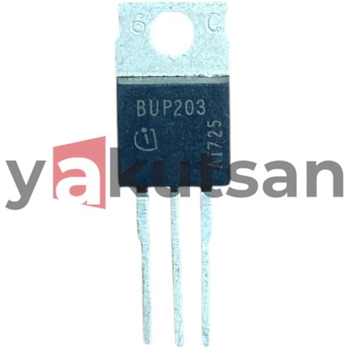 BUP203