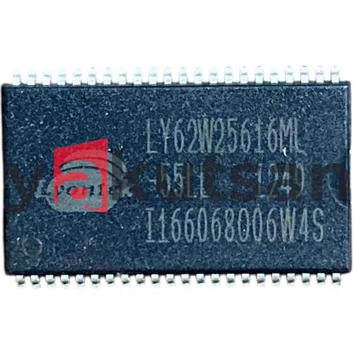 LY62W256165ML