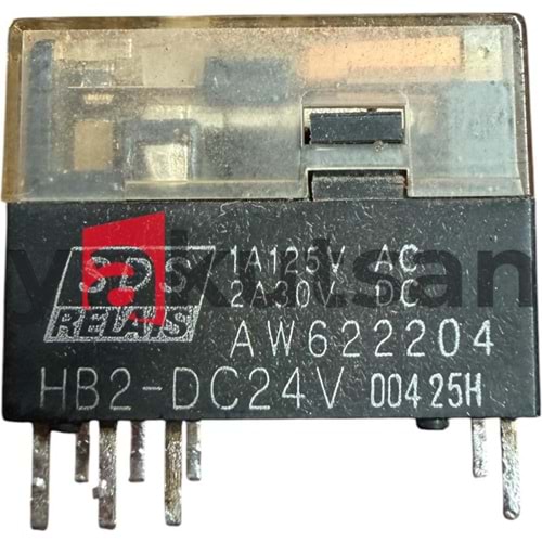 AW622204