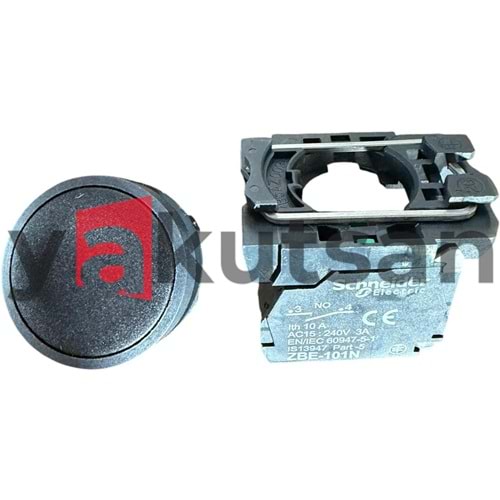 XB5 AA21N